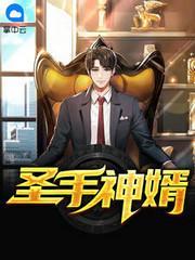 圣手神婿封面