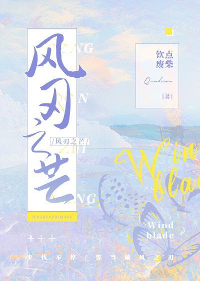 风刃之芒封面