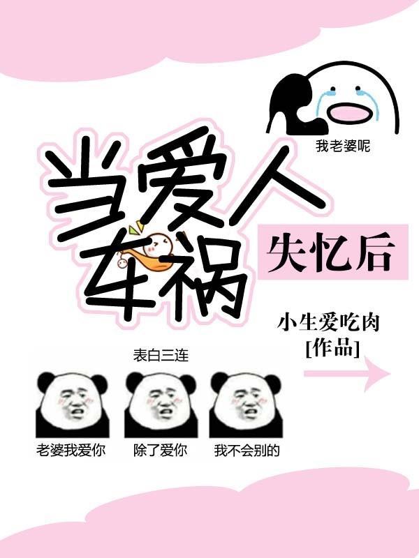 当爱人车祸失忆后封面