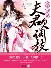 爆笑宠妃︰夫君，欠调教！封面