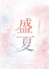 盛夏封面