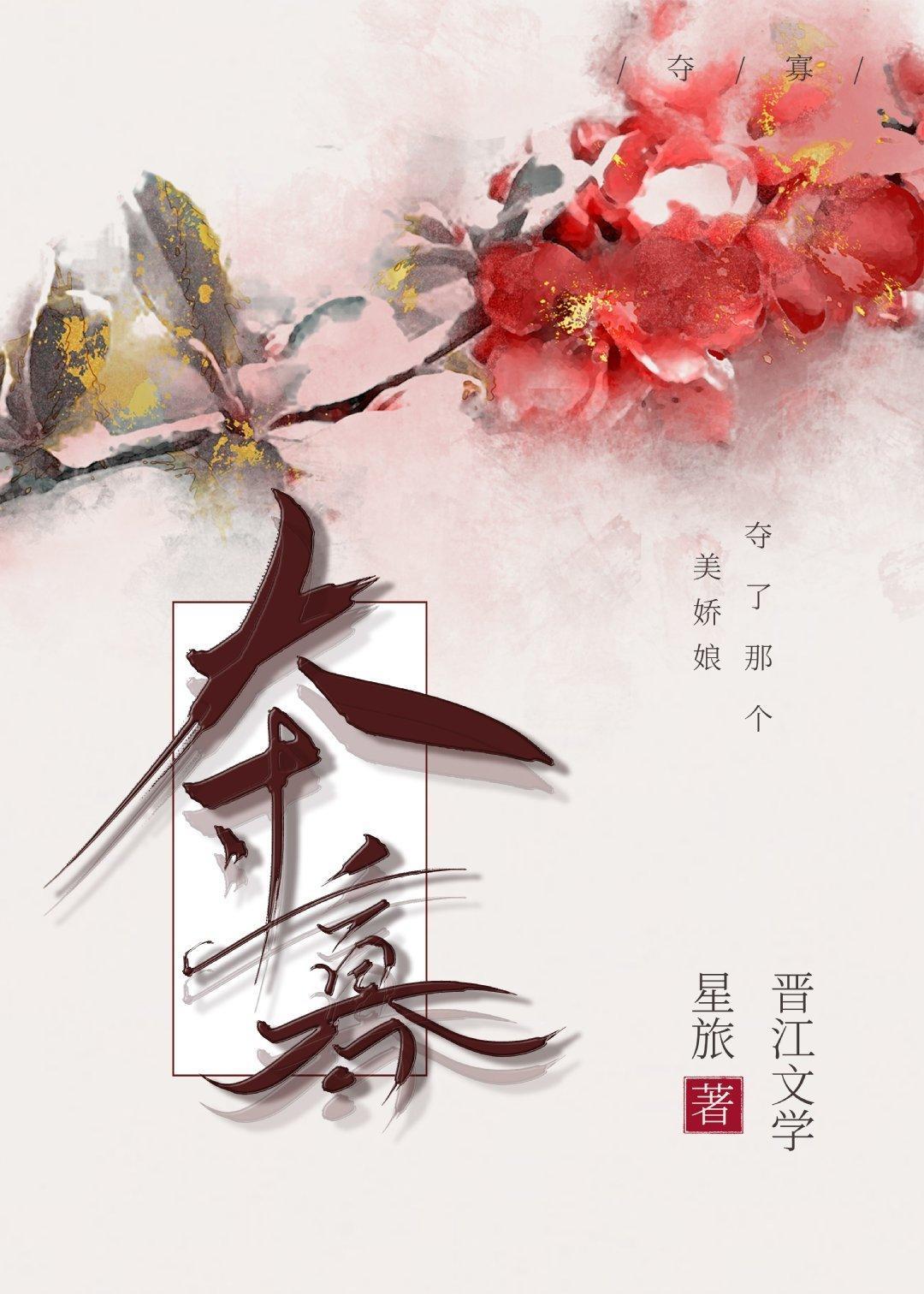 夺寡封面