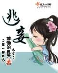 逃妾封面
