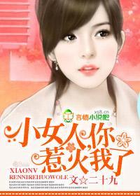 小女人，你惹火我了封面
