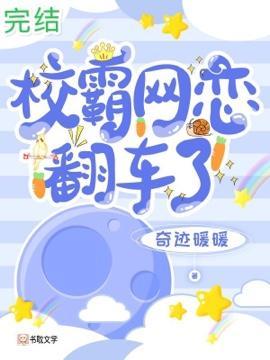 校霸网恋翻车了封面