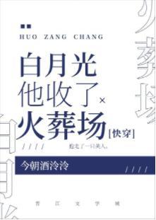 白月光他收了火葬场[快穿]封面