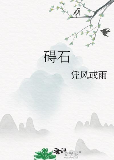 碍石封面