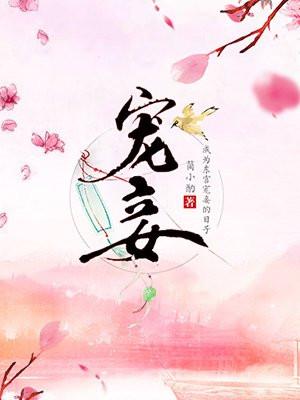 宠妾封面