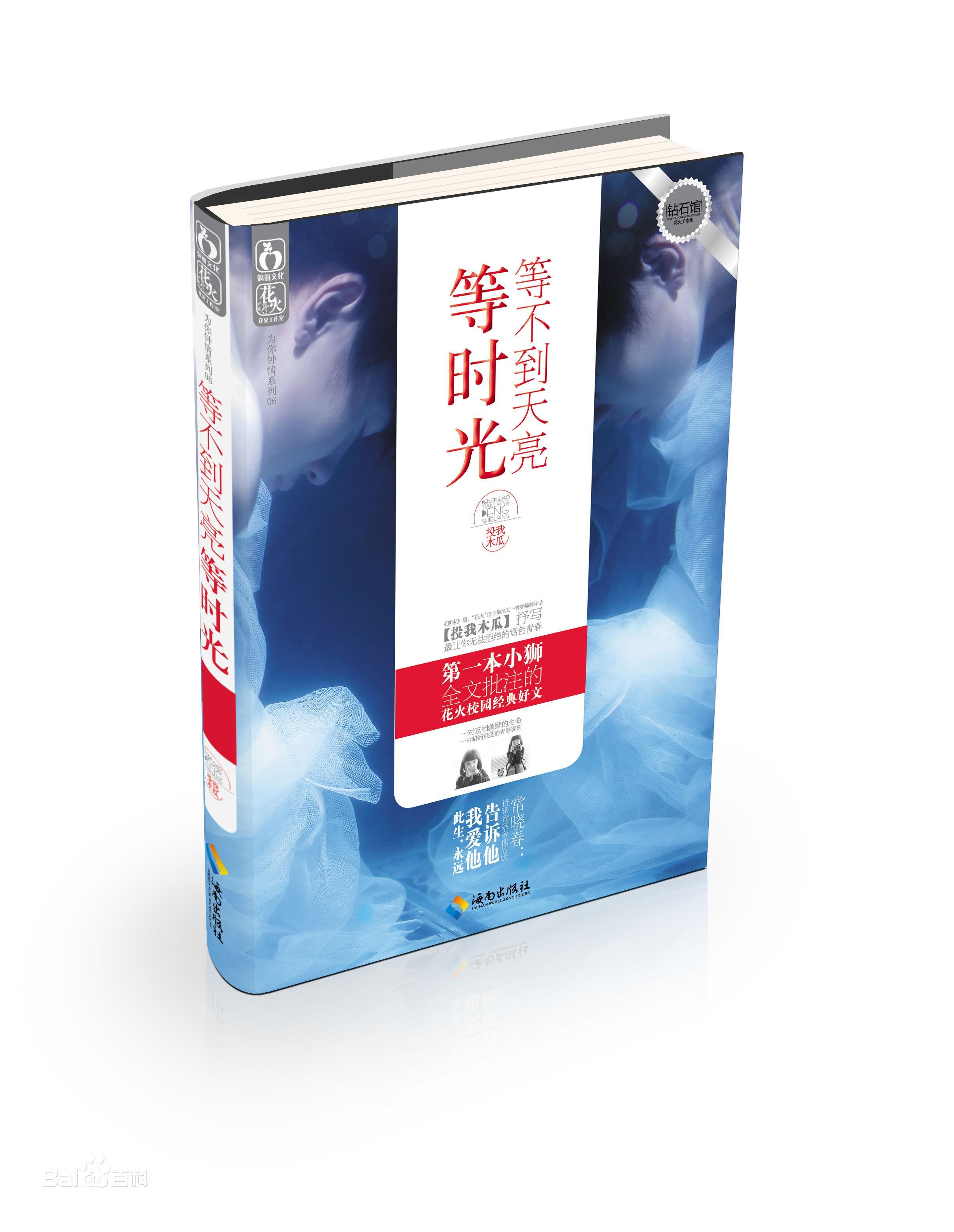 等不到天亮等时光封面