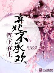 陛下在上︰弃妃不承欢封面