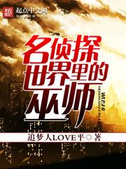 柯南世界里的巫师封面