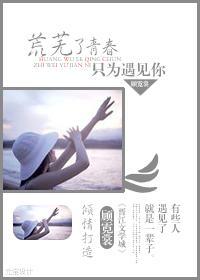 荒芜了青春只为遇见你封面