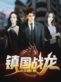 镇国战龙莫无极谭韵封面