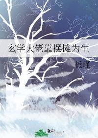 玄学大佬靠摆摊为生封面