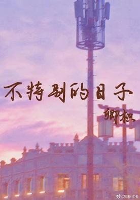 不特别的日子封面