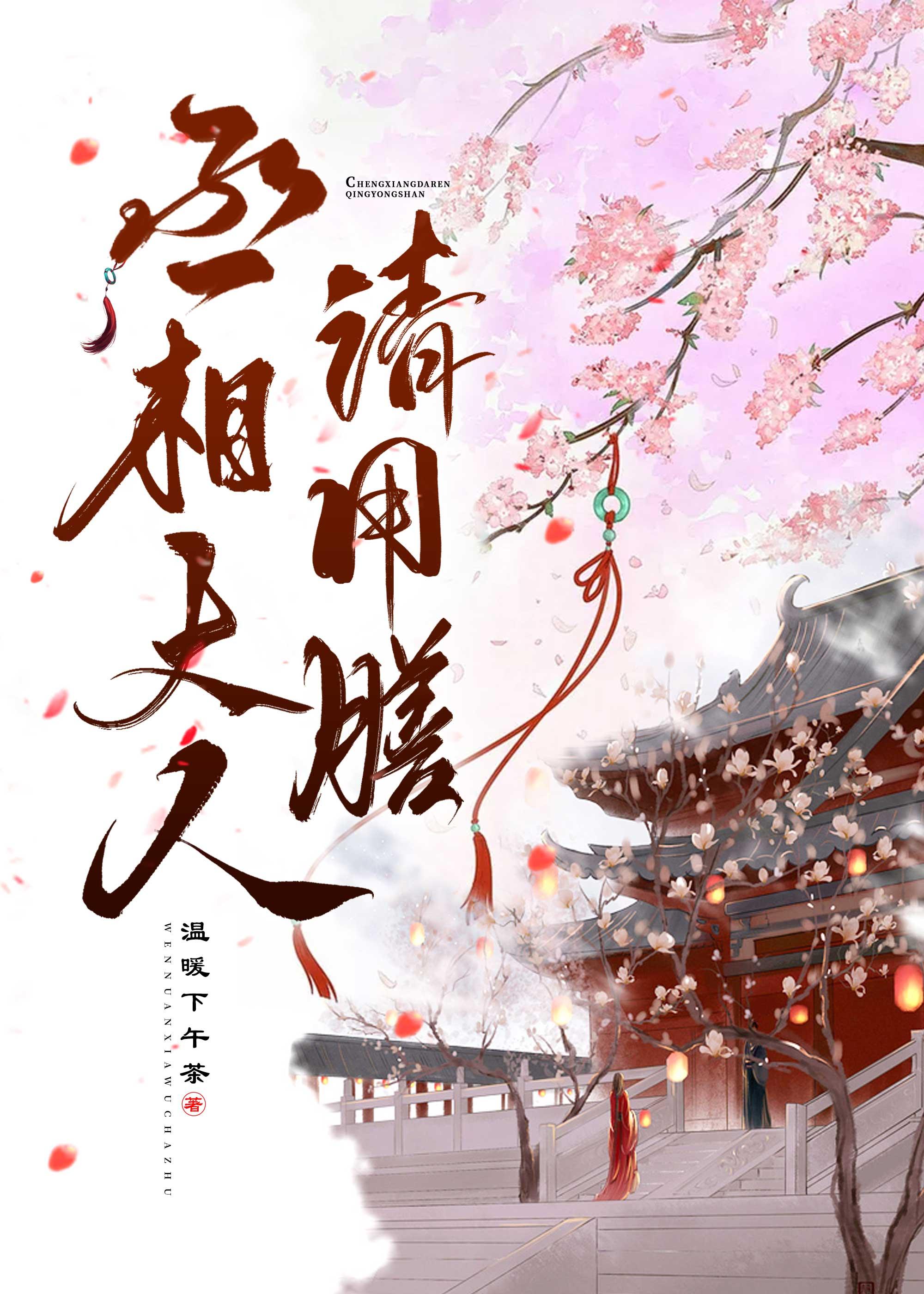 穿到三国，丞相大人请用膳封面