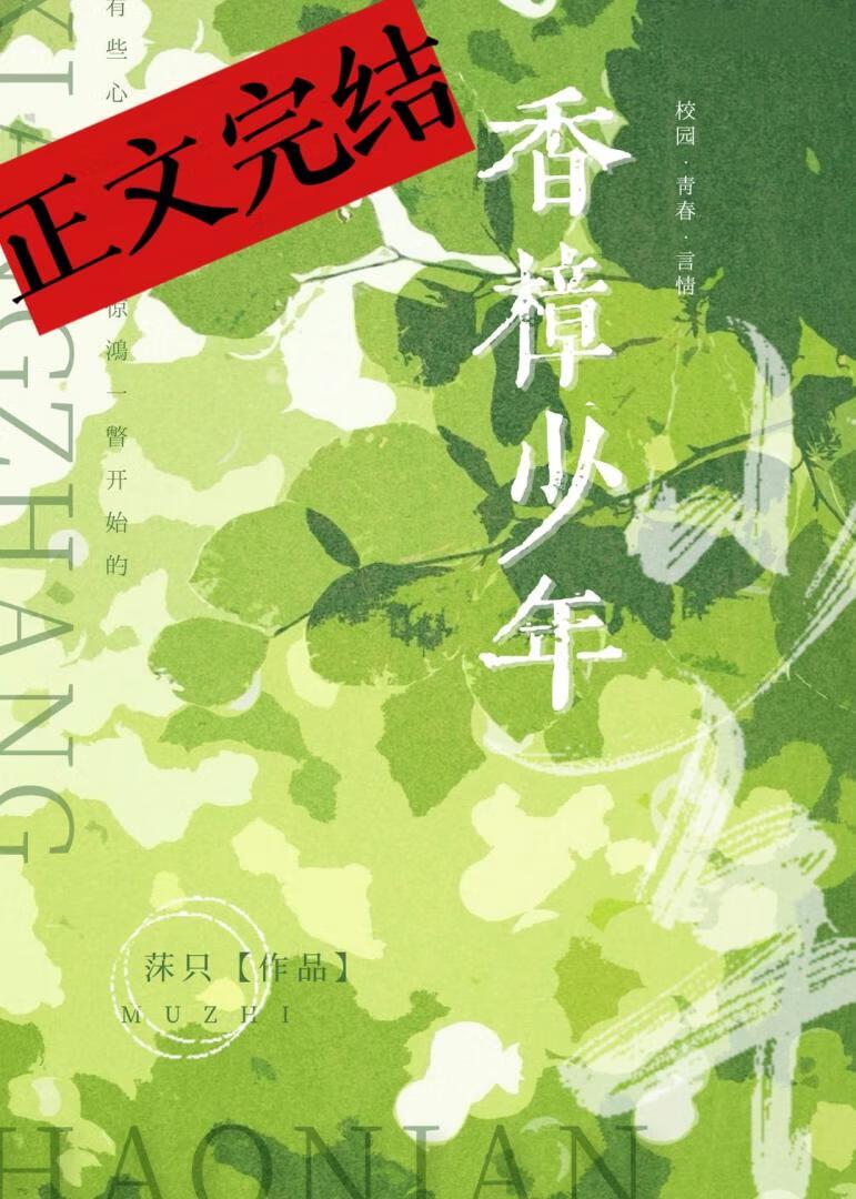 香樟少年封面