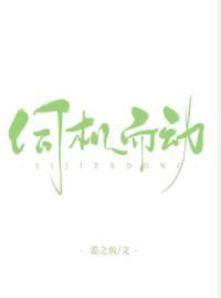 伺机而动封面