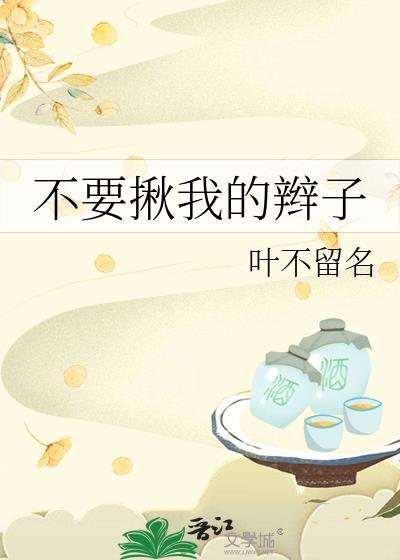 不要揪我的辫子封面