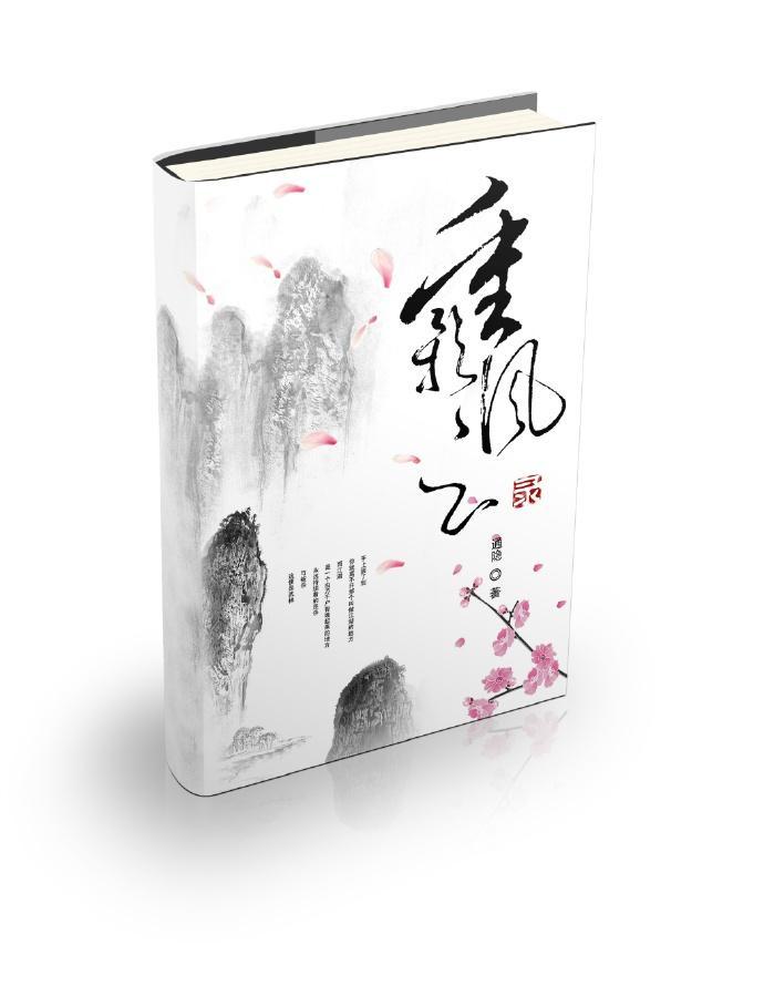 重影风云录封面