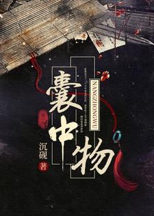 囊中物封面