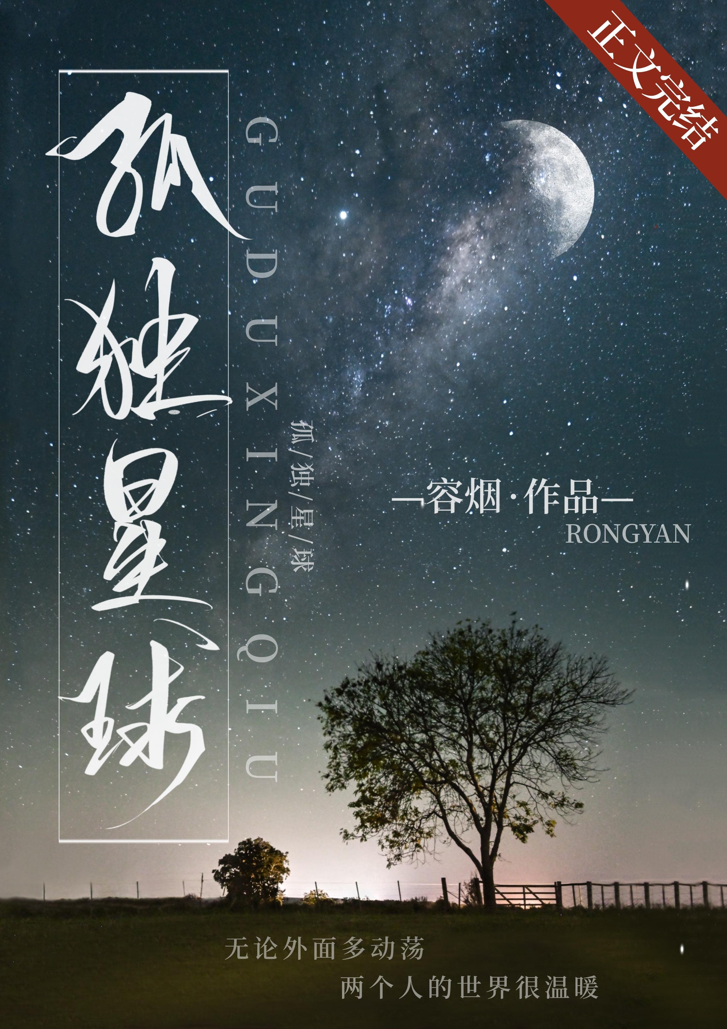 孤独星球封面