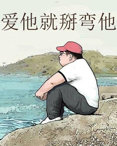 爱他，就掰弯他封面