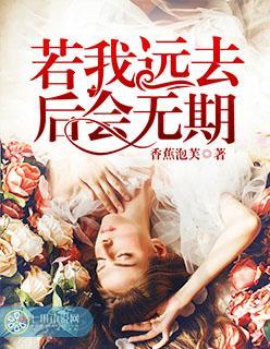 若我远去，后会无期封面