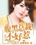 腹黑总裁不好惹封面