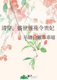 清穿，盛世莲花令贵妃封面
