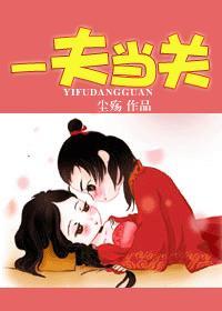 一夫当关封面