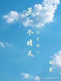 男神养成手札封面