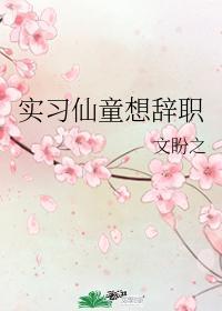 实习仙童想辞职封面
