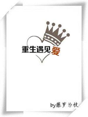 重生遇见爱封面