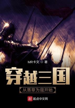 穿越三国，从落草为寇开始封面