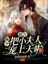 报告：靳少把小夫人宠上天啦封面