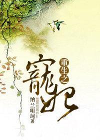 重生之宠妃封面