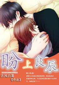 盼上良辰封面