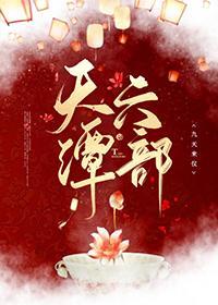 天潭六部封面