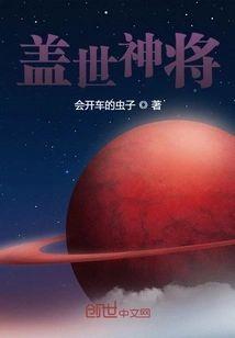 盖世神将封面