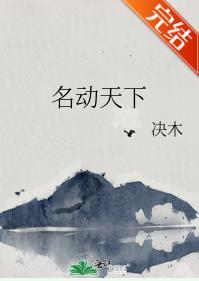 名动天下封面