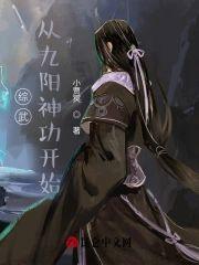综武：从九阳神功开始封面
