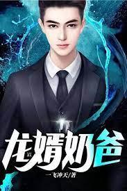 龙婿奶爸封面
