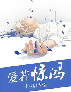 爱若惊鸿封面