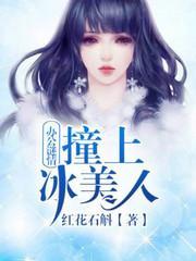 办公谜情：撞上冰美人封面