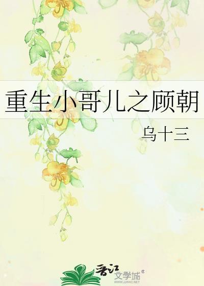 重生小哥儿之顾朝封面