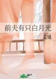 前夫有只白月光封面