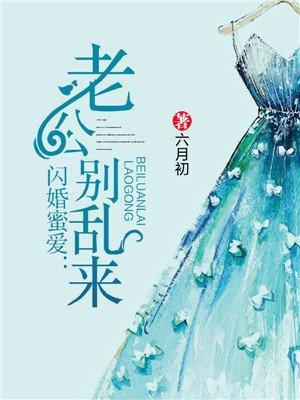 闪婚蜜爱：老公别乱来封面