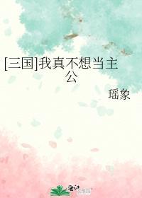 [三国]我真不想当主公封面
