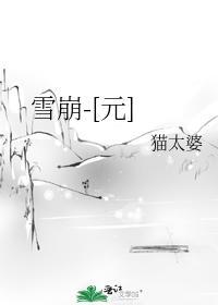 雪崩-[元]封面